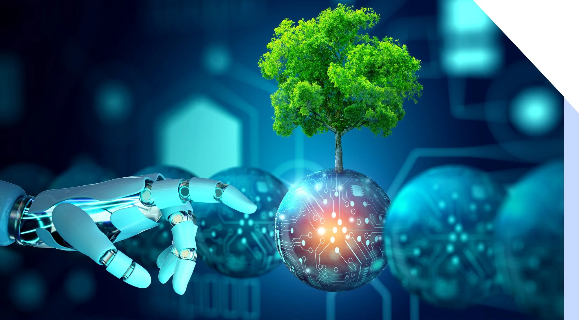 Green Web Hosting: Eco-Friendly Hosting Providers You Should Know